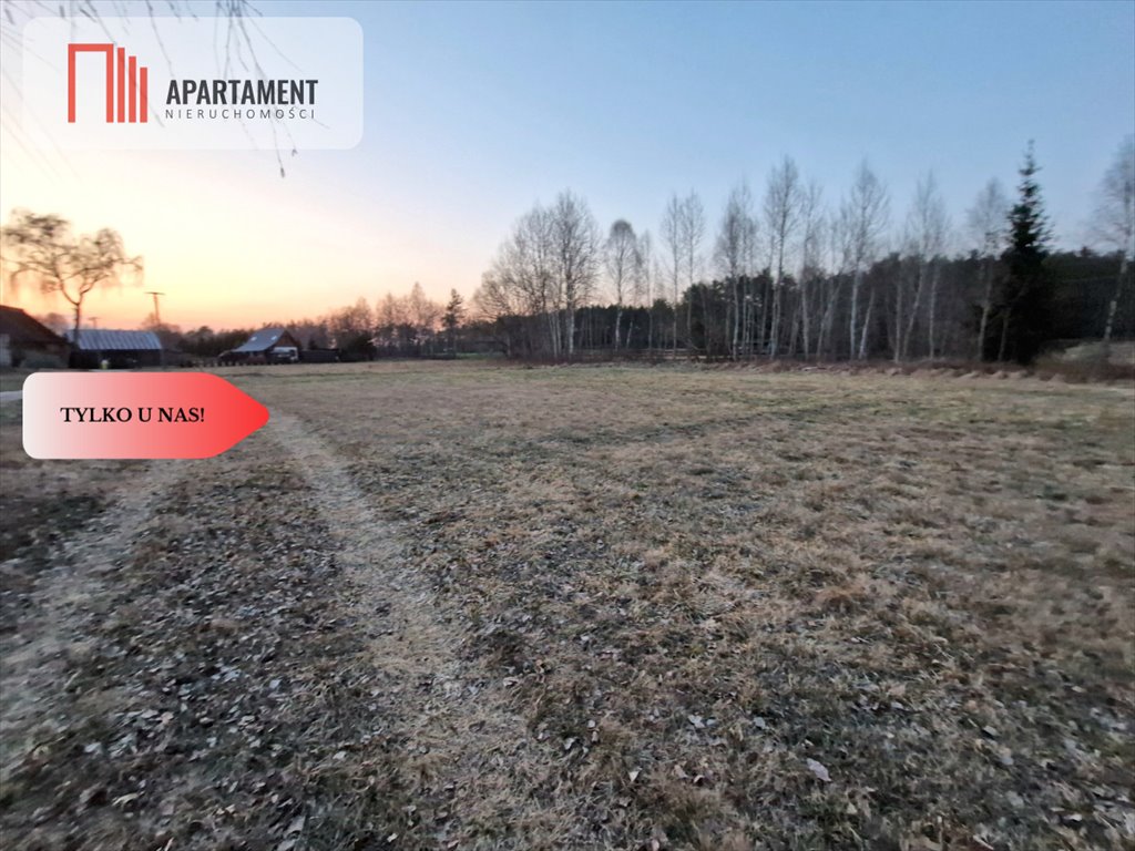 Działka budowlana na sprzedaż Kwieki  1 314m2 Foto 1