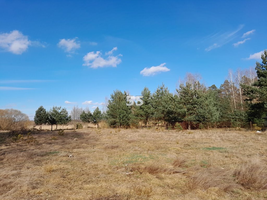 Działka inna na sprzedaż Jerwonice  1 470m2 Foto 3