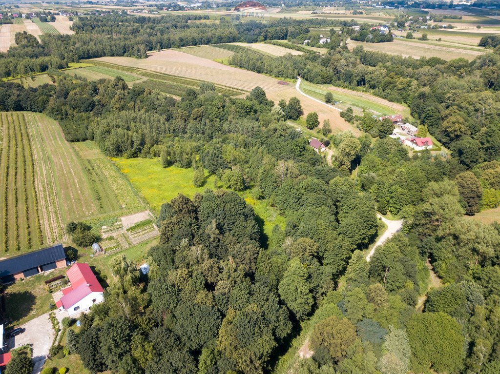 Działka siedliskowa na sprzedaż Stok  22 572m2 Foto 5