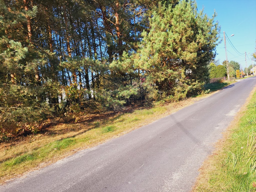 Działka budowlana na sprzedaż Lubliniec, Wymyślacz, Świerkowa  3 023m2 Foto 4