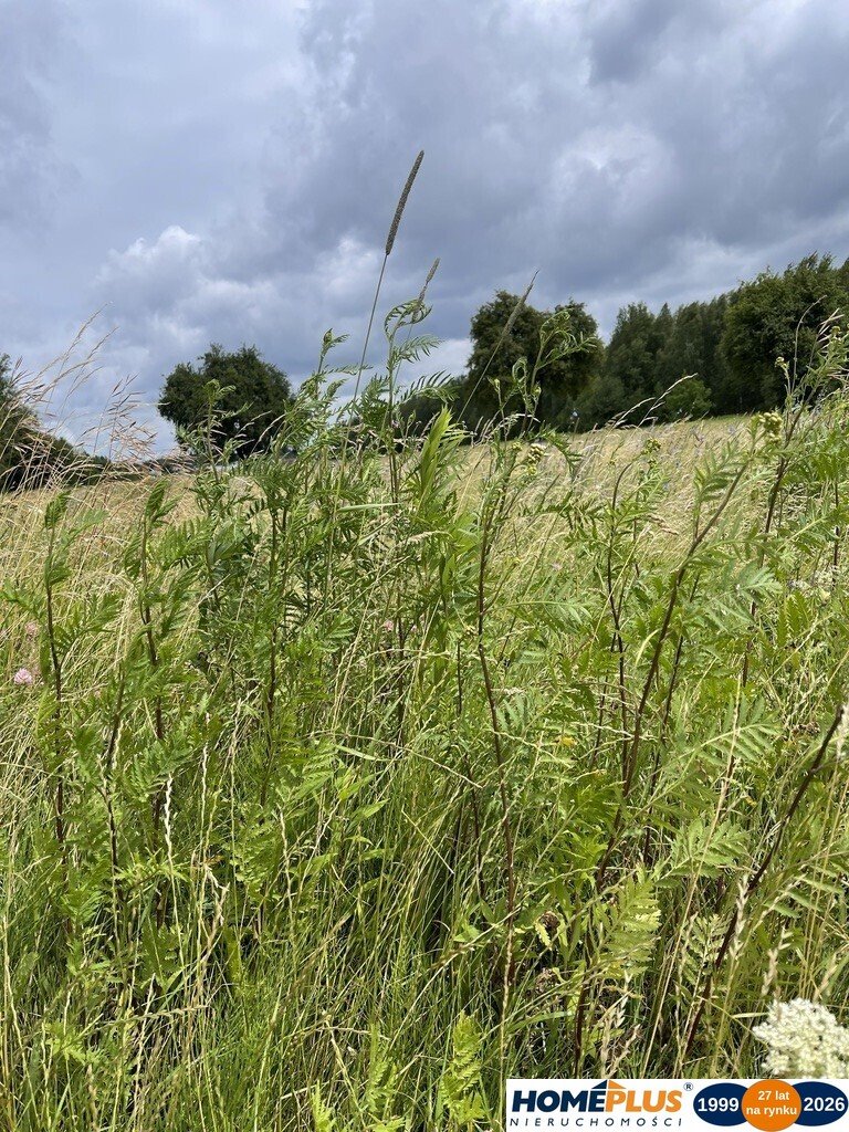 Działka pod produkcję 2270 m² z mediami, dojazd asfaltowy Słupno  2 270m2 Foto 1