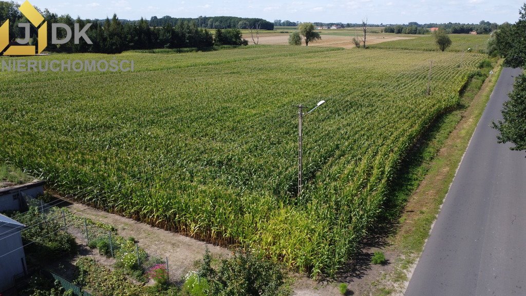 Działka budowlana na sprzedaż Lubiejew  1 308m2 Foto 2