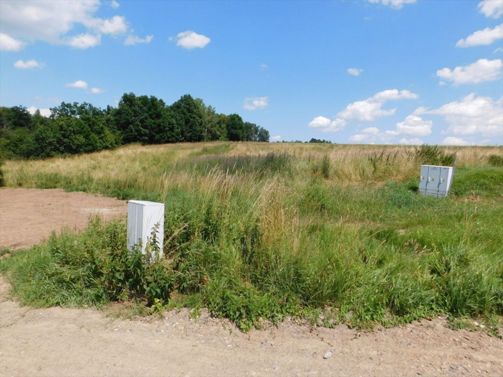 Działka budowlana na sprzedaż Boguszyn  2 000m2 Foto 2