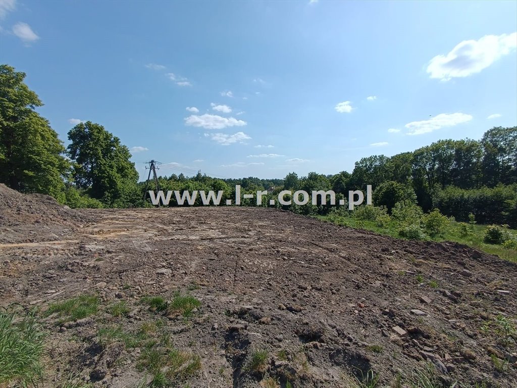 Działka budowlana na sprzedaż Radlin, Biertułtowy, Sokolska  4 120m2 Foto 6