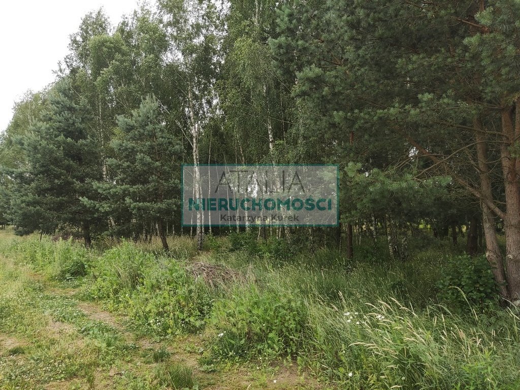 Sprzedam działkę 2000 m² z mediami i planem zabudowy Żelechów  2 000m2 Foto 1