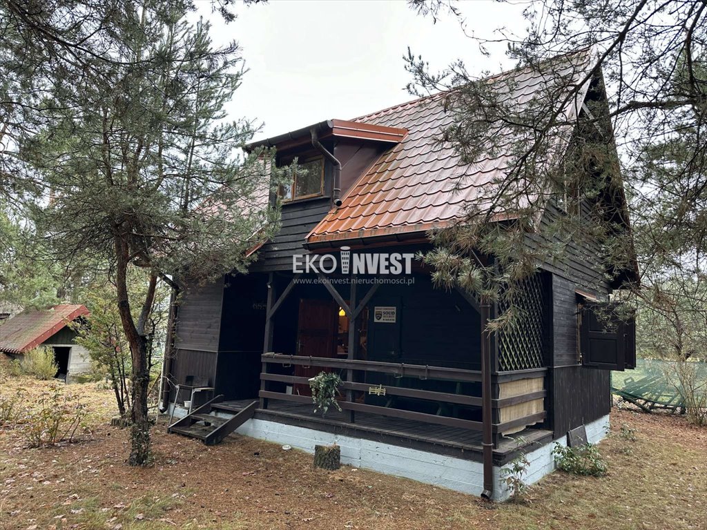 Urokliwy domek 70 m2 z dużą działką w Borsukach Nowe Borsuki, Nowe Borsuki  70m2 Foto 1