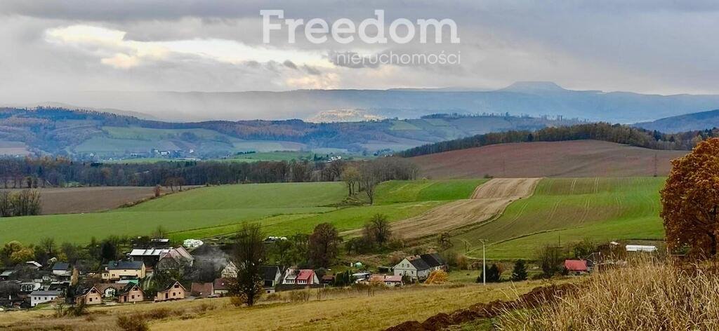 Działka inna na sprzedaż Nowa Ruda  4 359m2 Foto 2