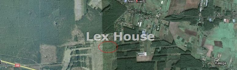 Działka siedliskowa 3000 m² w Niedźwiedziu, las, dom do 9,5 m Niedźwiedź  3 001m2 Foto 1