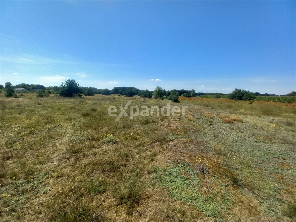 Działka 3,02 ha z wodą i energią, blisko jeziora Blinno  30 200m2 Foto 1