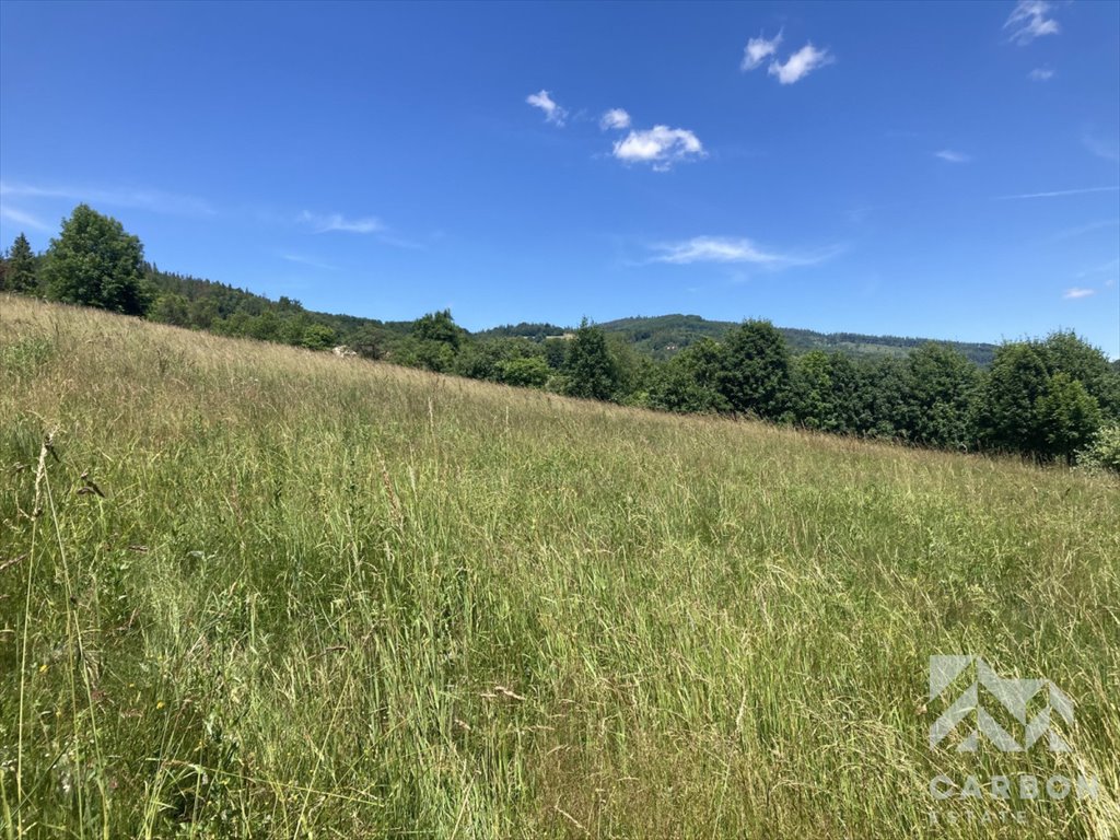 Działka budowlana na sprzedaż Wisła, Jawornik, Cieślarów  1 931m2 Foto 2