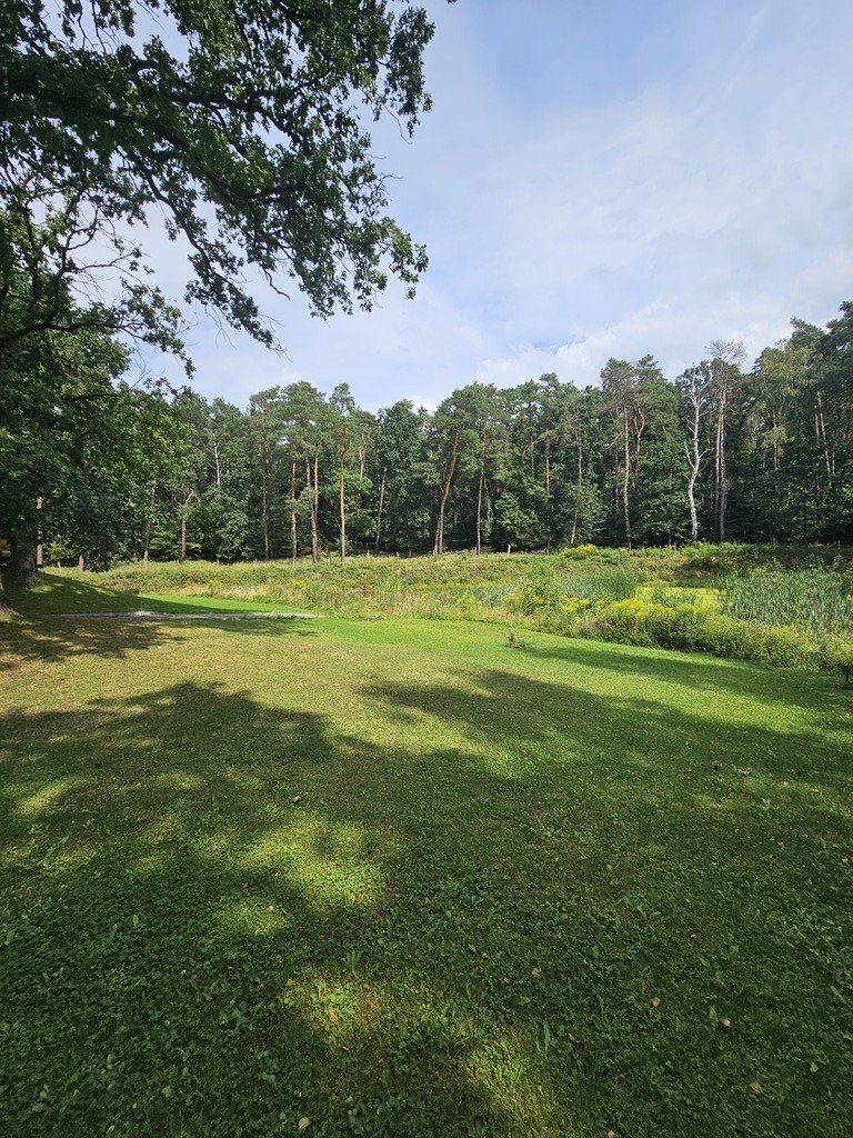 Działka budowlana na sprzedaż Różanki  3 225m2 Foto 7