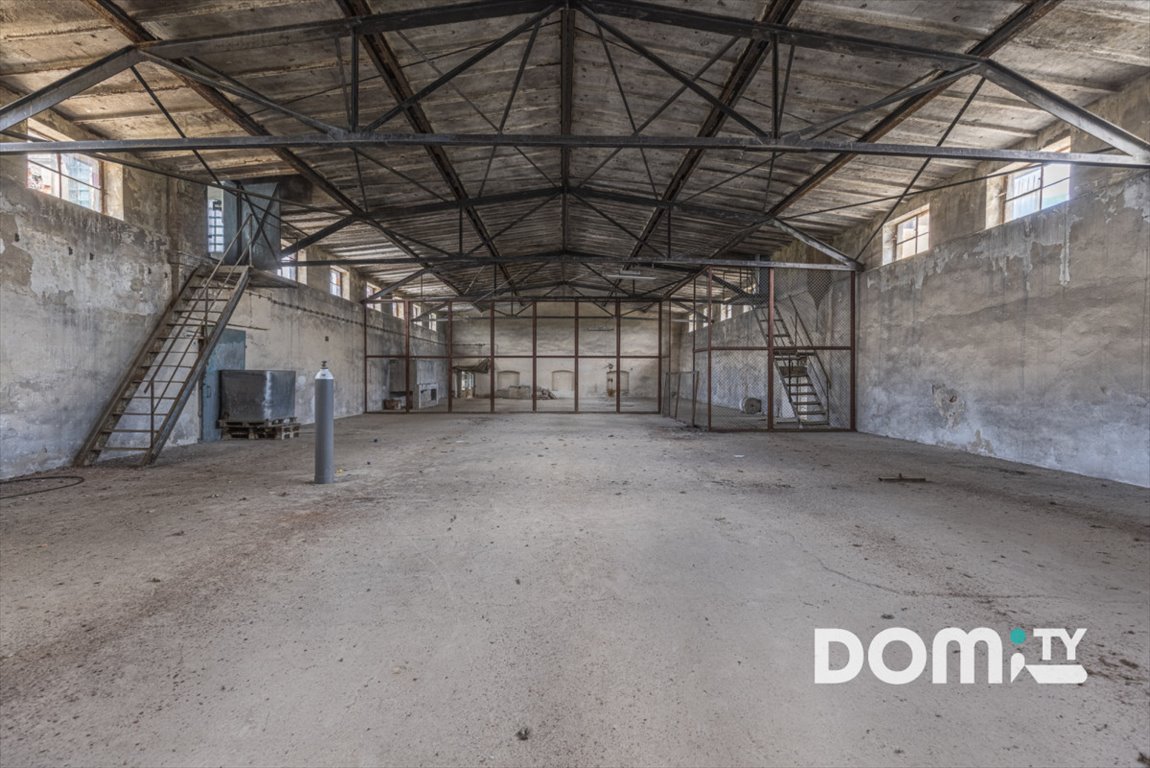 Lokal użytkowy na sprzedaż Dąbrowica  11 500m2 Foto 40