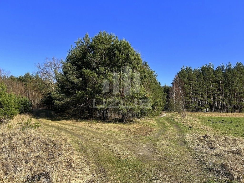 Działka budowlana na sprzedaż Kranek  3 400m2 Foto 16