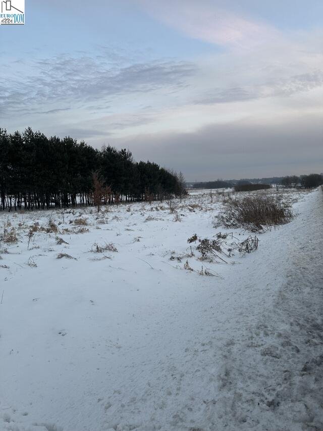 Działka budowlana na sprzedaż Dąbie  760m2 Foto 1