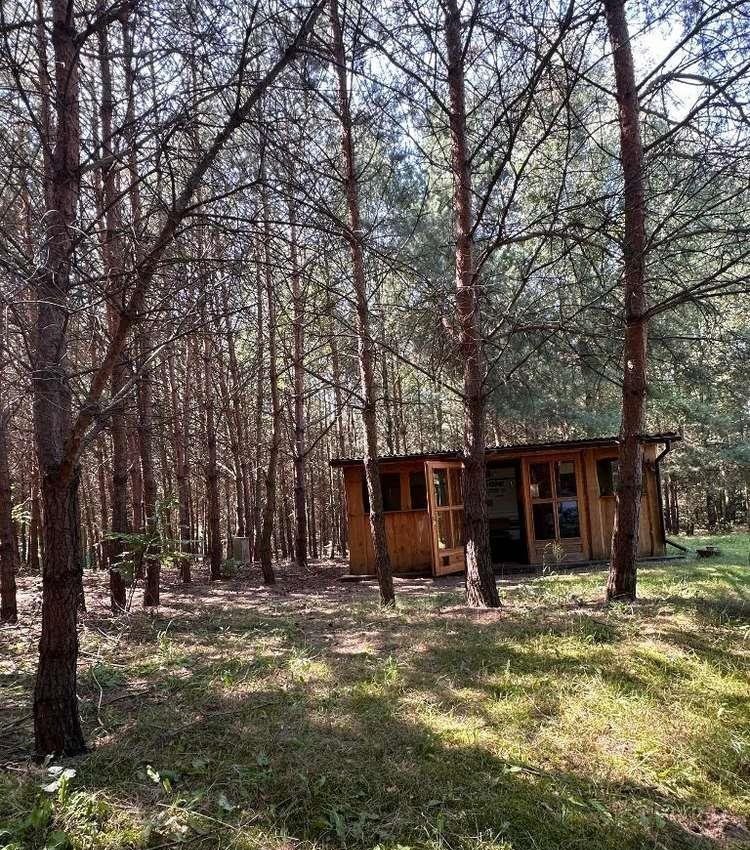 Działka budowlana na sprzedaż Rozbitek  7 712m2 Foto 1