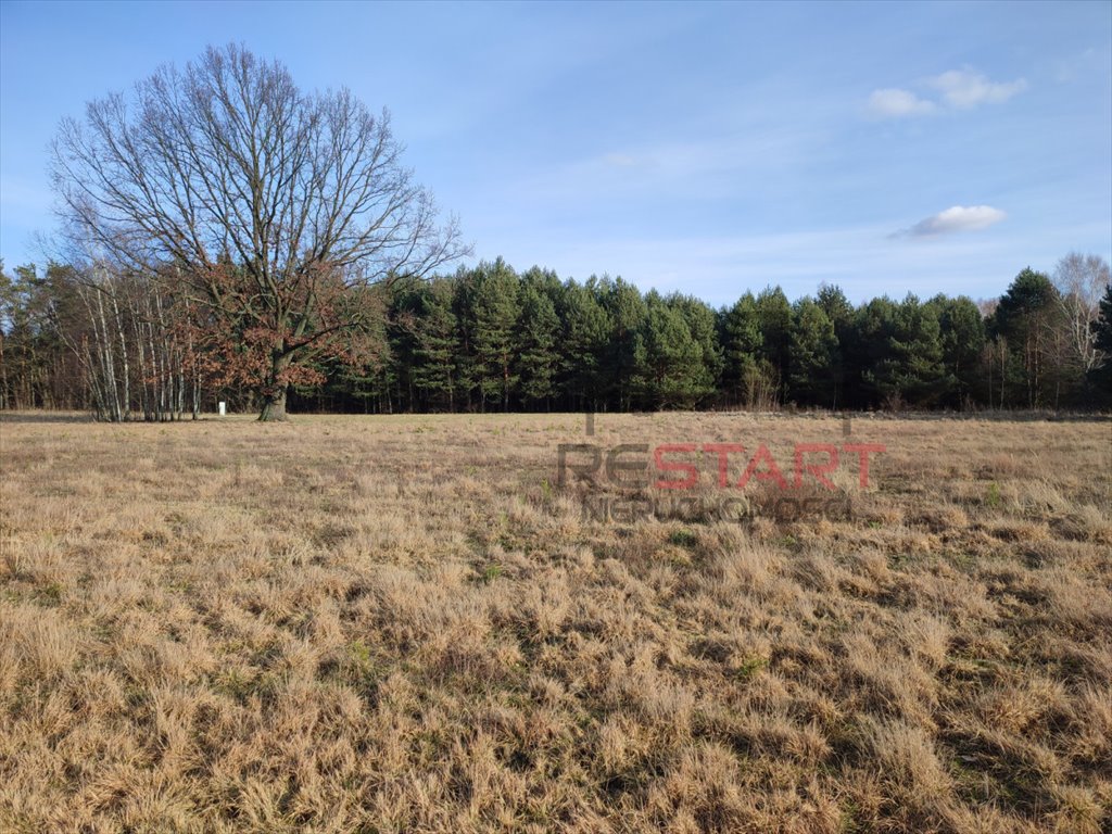 Działka budowlana na sprzedaż Osowiec  1 379m2 Foto 1