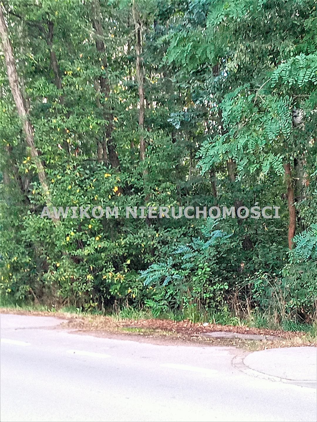 Działka 4000 m² w Książenicach z MPZP, las i media Książenice  4 000m2 Foto 1