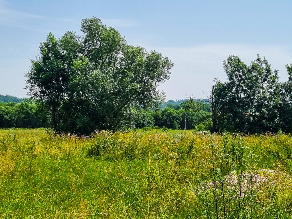 Działka budowlana na sprzedaż Bystrzyca Kłodzka  4 140m2 Foto 8