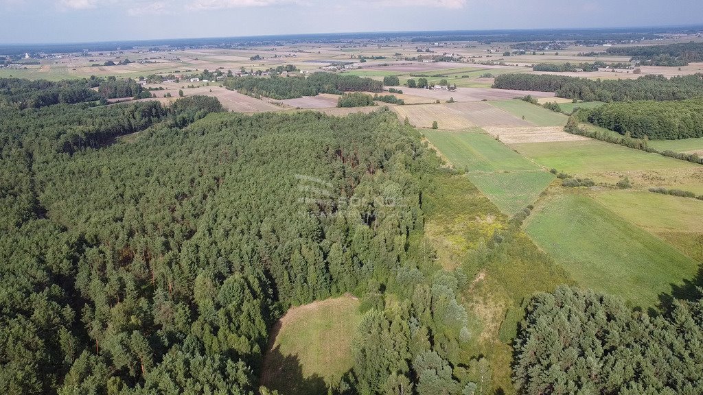 Działka leśna na sprzedaż Curyn  17 500m2 Foto 3