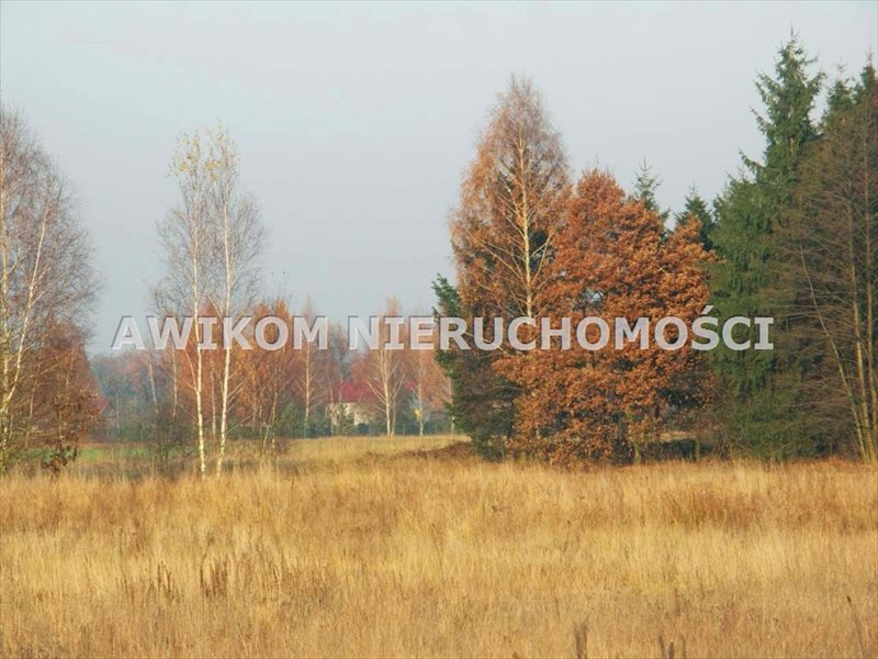 Działka rolna na sprzedaż Skierniewice, Borowiny  21 200m2 Foto 2