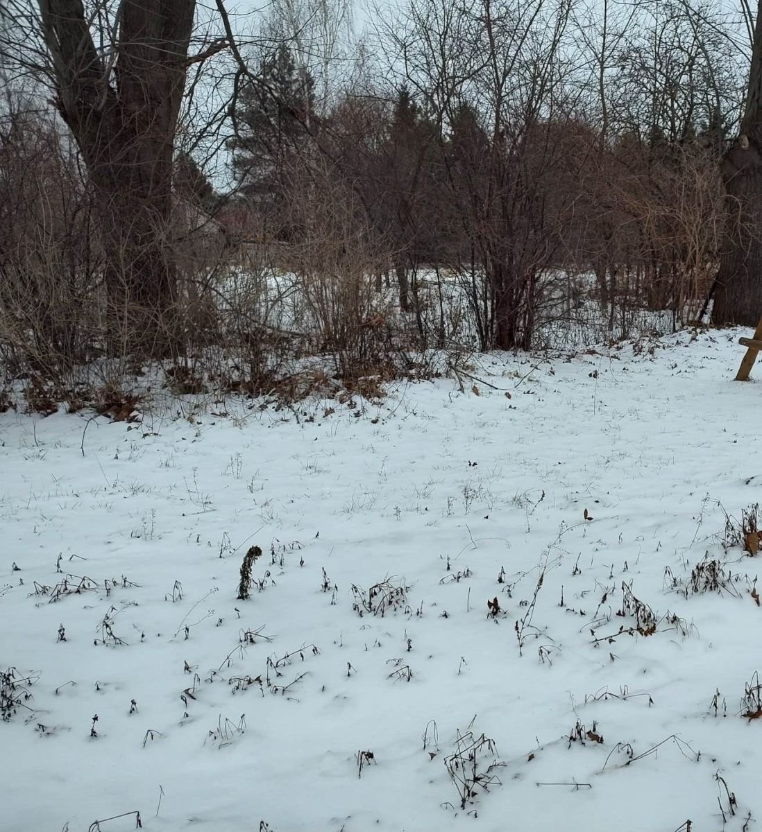 Działka budowlana na sprzedaż Boguty-Pianki  600m2 Foto 5