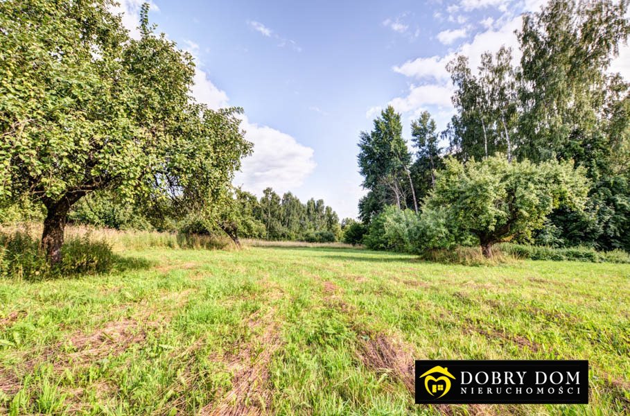 Działka rolna na sprzedaż Stary Folwark  2 400m2 Foto 13