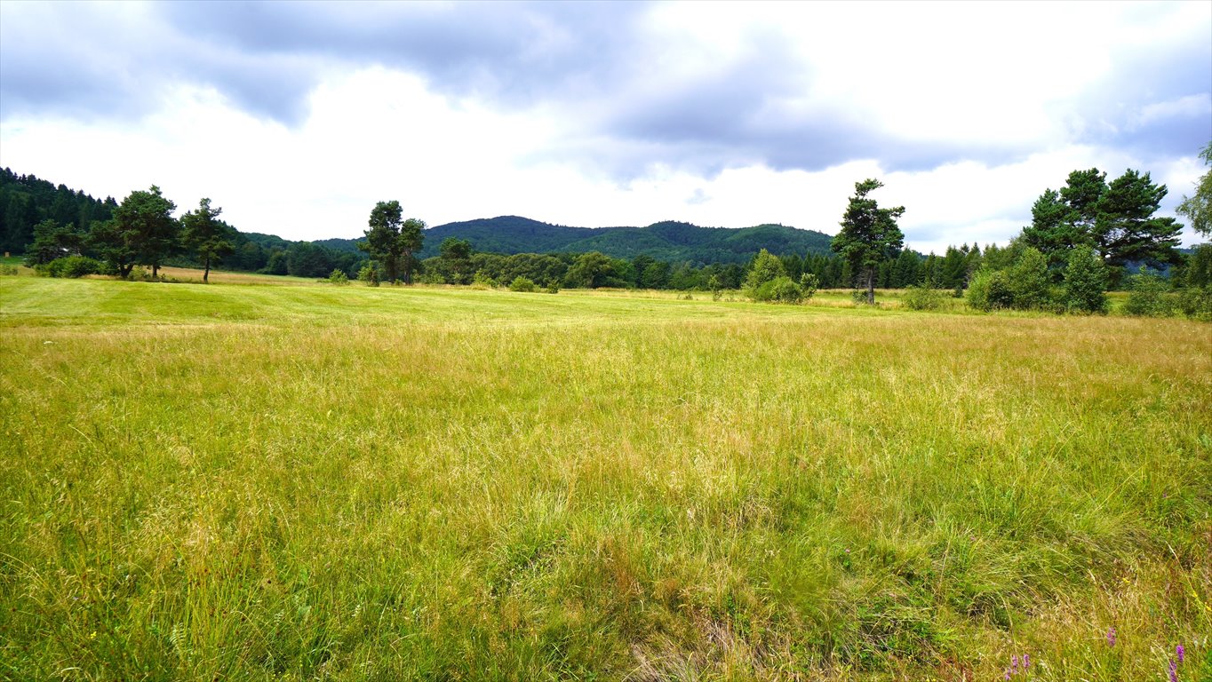 Działka budowlana na sprzedaż Wysowa-Zdrój  1 000m2 Foto 1