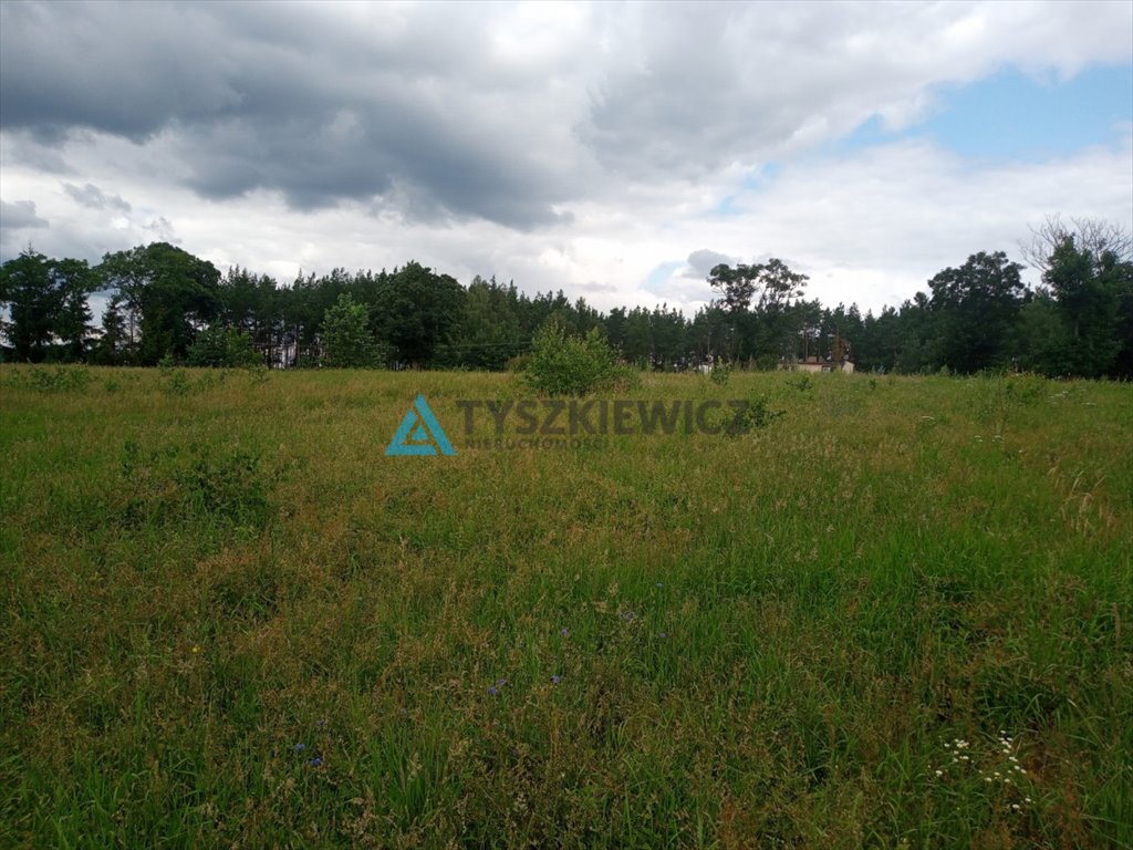 Działka rolna na sprzedaż Borzechowo, Kociewska  3 296m2 Foto 8