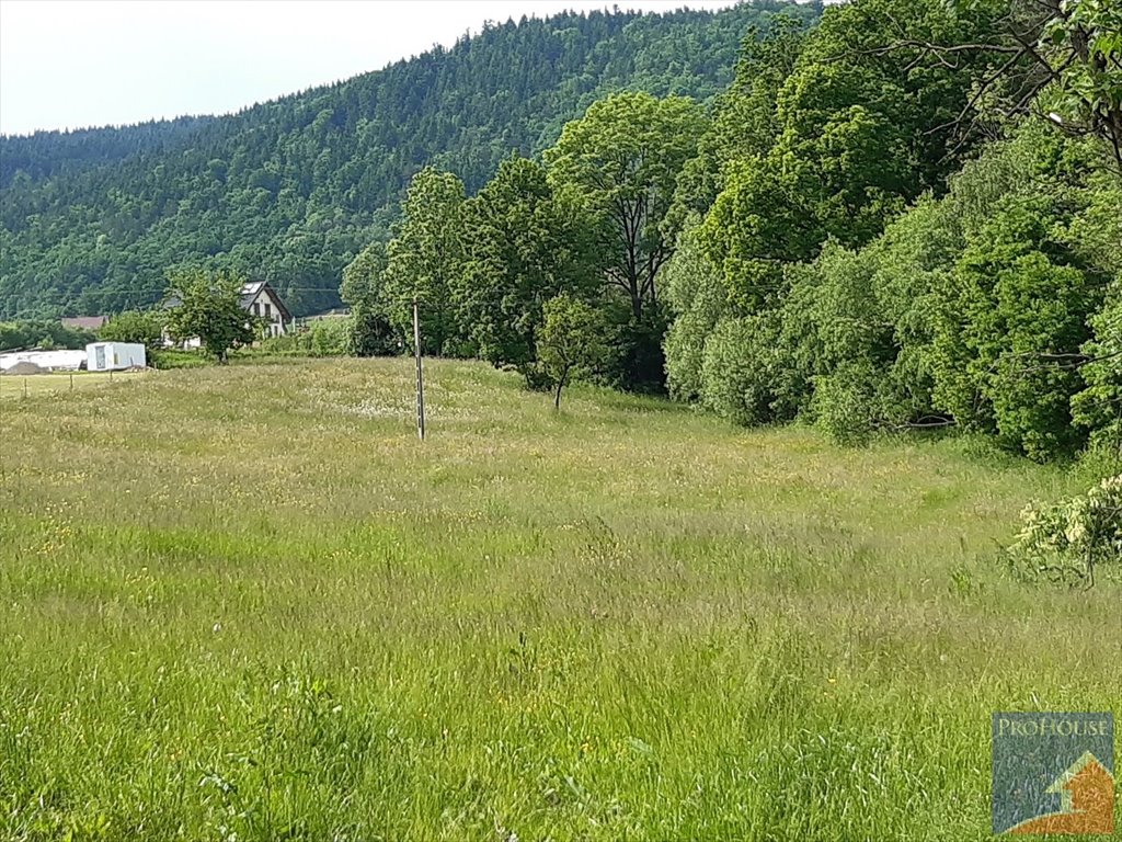 Działka pod zabudowę w Męcinie, media, dostęp do drogi Męcina  3 300m2 Foto 1