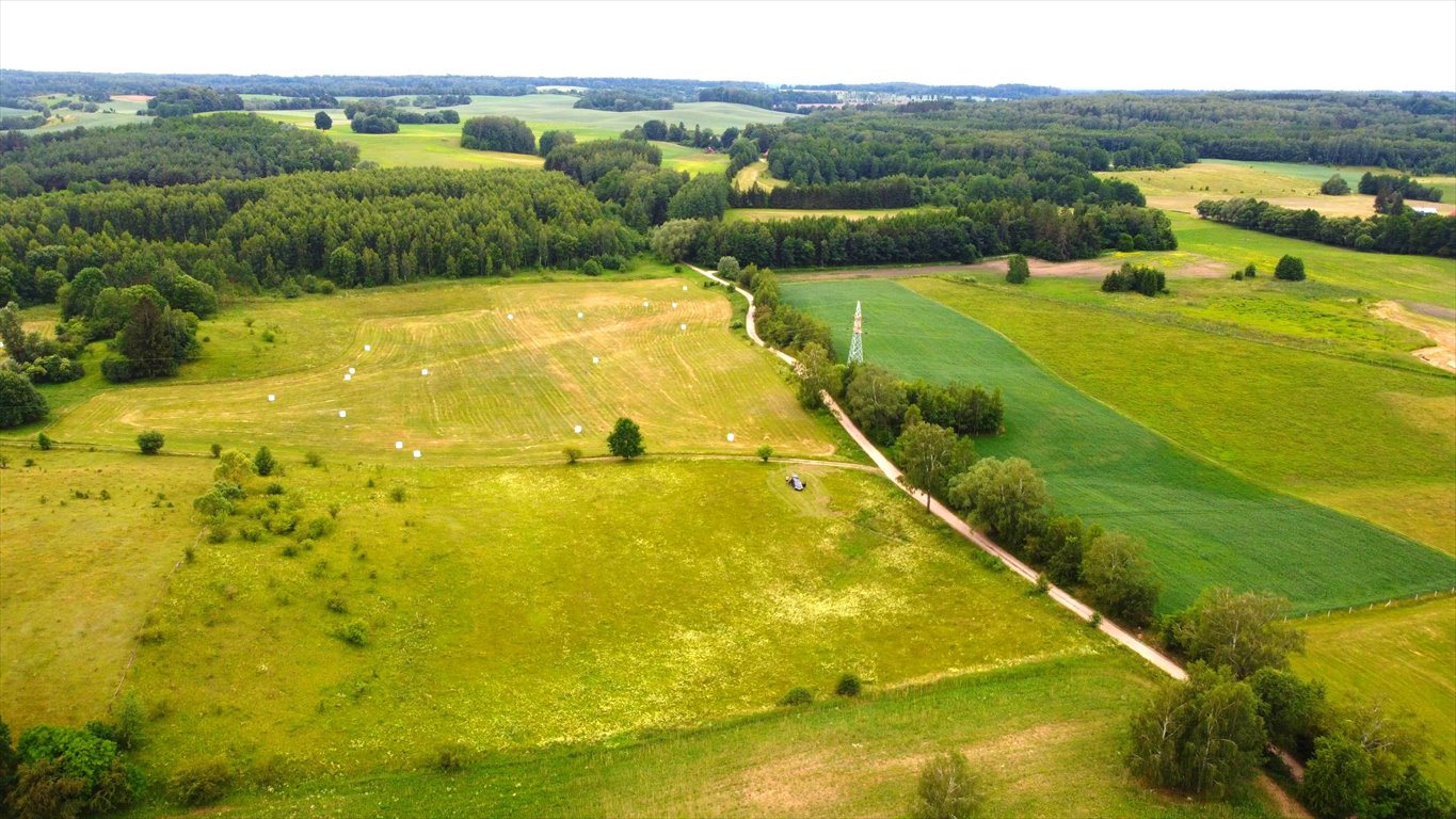 Działka budowlana na sprzedaż Wężówka  3 502m2 Foto 4