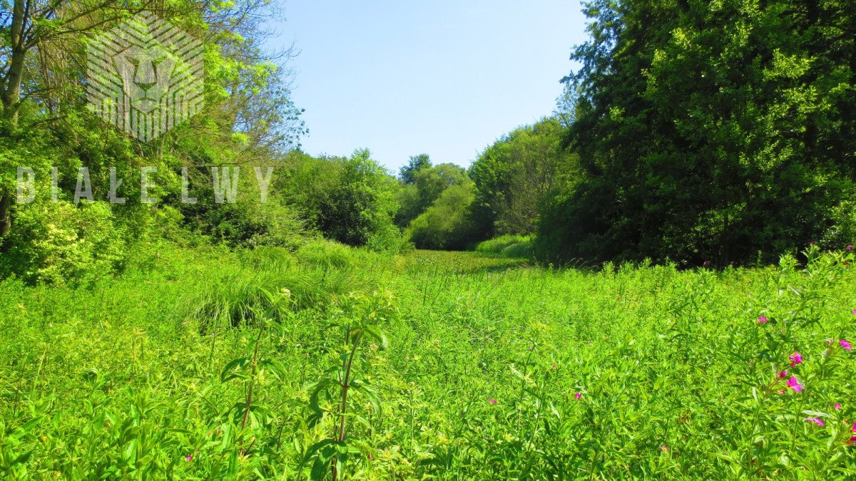 Działka budowlana na sprzedaż Lesznowola  2 230m2 Foto 2