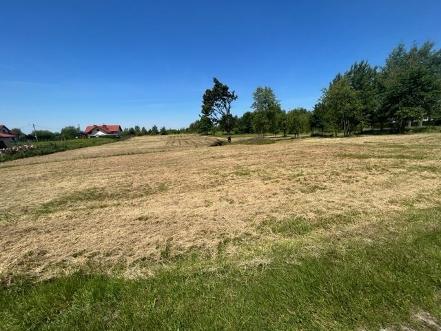 Działka budowlana na sprzedaż Pysznica, Podorendy  1 167m2 Foto 1