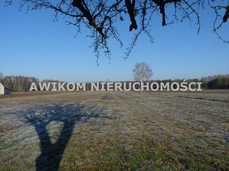 Działka budowlana na sprzedaż Skierniewice, Rawiczów 5 800m2 Foto 1 Działka budowlana na sprzedaż Skierniewice, Rawiczów 5 800m2 Foto 1