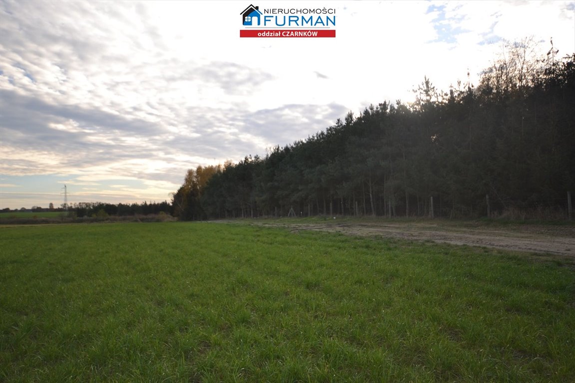 Do sprzedania działka 3,4 ha pod osiedle z planem w Lubaszu Lubasz  33 856m2 Foto 1