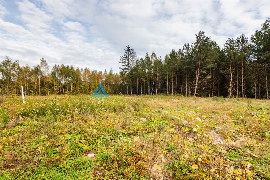 Działka budowlana na sprzedaż Kowalewo  1 013m2 Foto 9