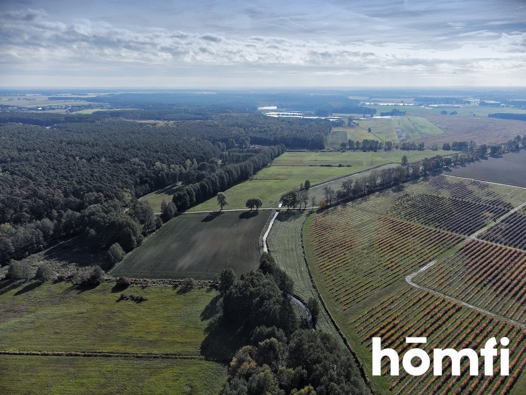 Działka budowlana na sprzedaż Śrem  10 810m2 Foto 8