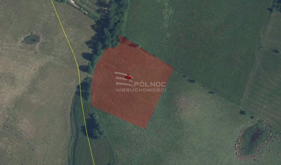 Działka rolna 7410 m² w Borkach Wielkich – cisza i natura Borki Wielkie  7 410m2 Foto 1