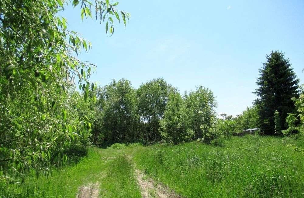 Działka 4 ha z mediami, MPZP, pierwsza linia zabudowy polecam Kielce, Dyminy-Wieś  40 000m2 Foto 1