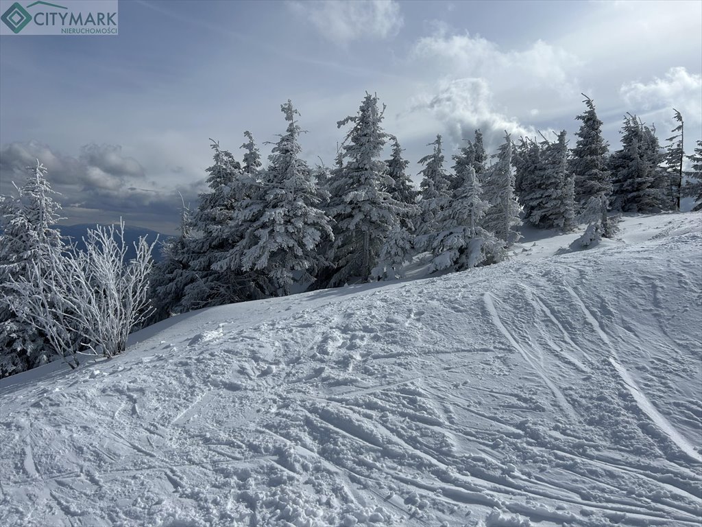 Dom na sprzedaż Bukowina Tatrzańska  1 317m2 Foto 2