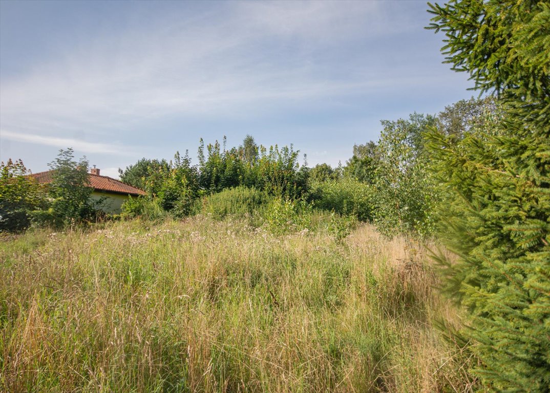 Działka budowlana na sprzedaż Kąpino  1 591m2 Foto 3