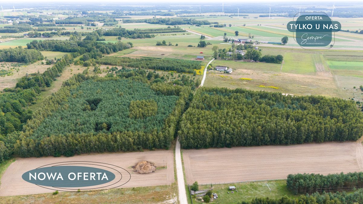 Działka budowlana na sprzedaż Rojków  1 350m2 Foto 12