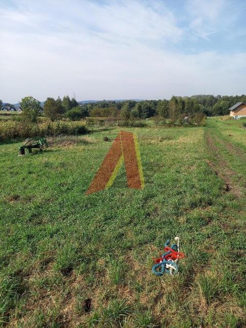 Działka budowlana na sprzedaż Modlnica, Wielka Wieś  20 000m2 Foto 5