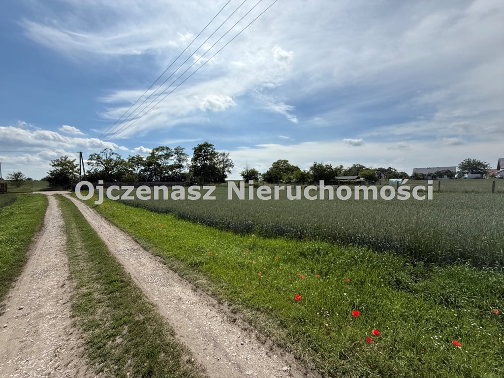 Zdjęcie 4