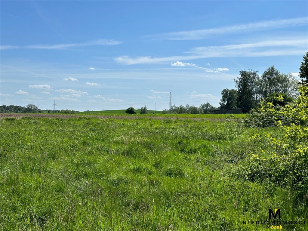 Działka budowlana na sprzedaż Kołobrzeg, Niekanin, Śliwkowa  1 069m2 Foto 9