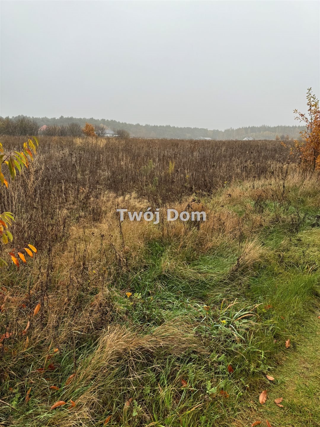 Polecam działkę rolną z warunkami zabudowy 879 m² w Mochle Mochle  879m2 Foto 1