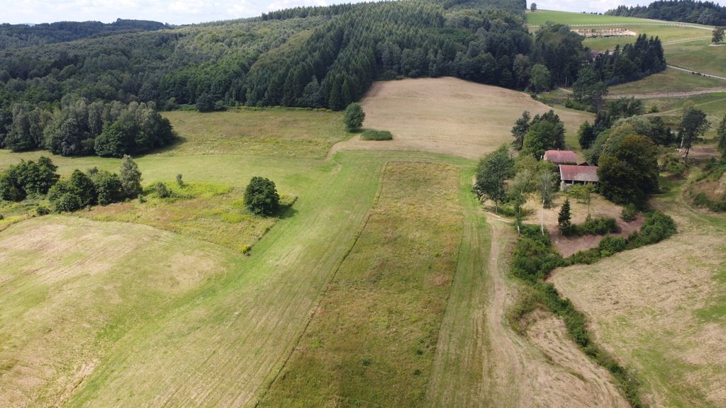 Działka budowlana na sprzedaż Lutcza  107 000m2 Foto 7