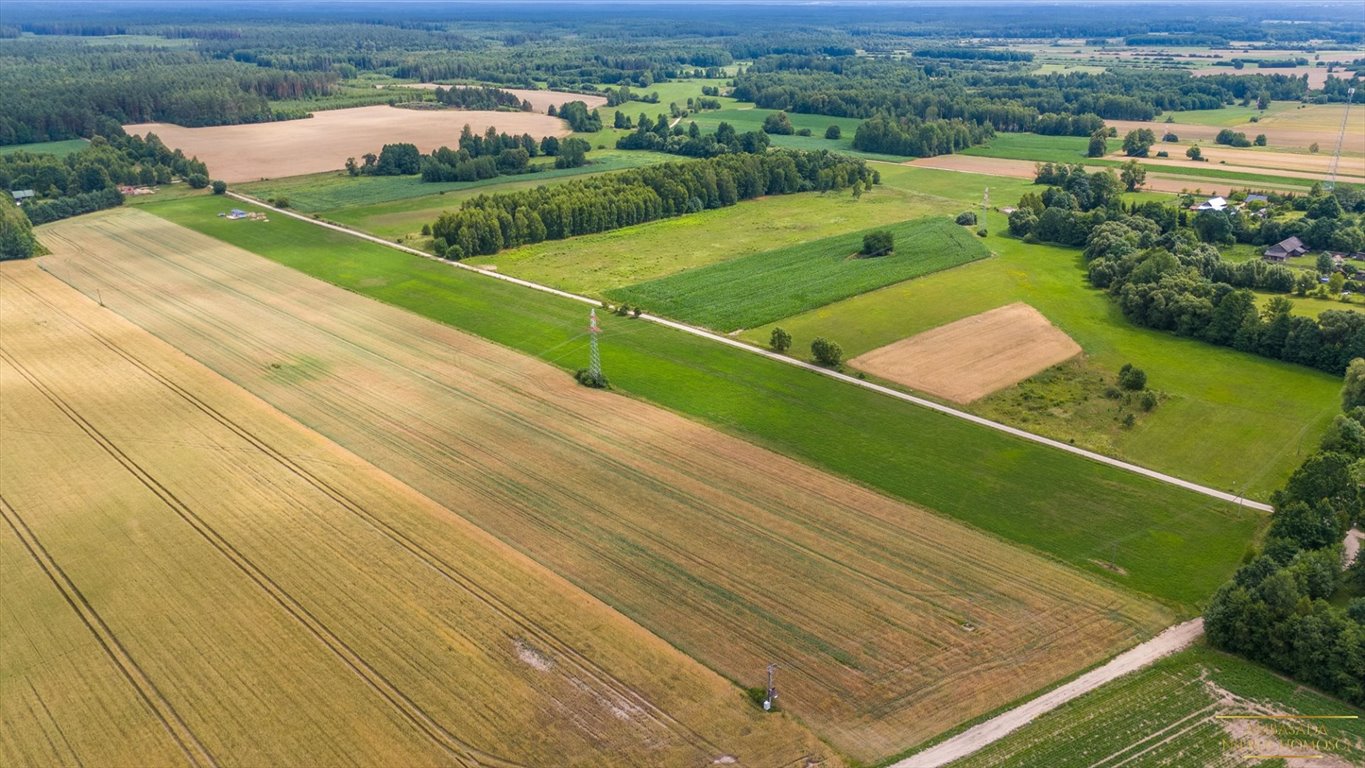 Działka rolna na sprzedaż Folwarki Tylwickie  3 040m2 Foto 5