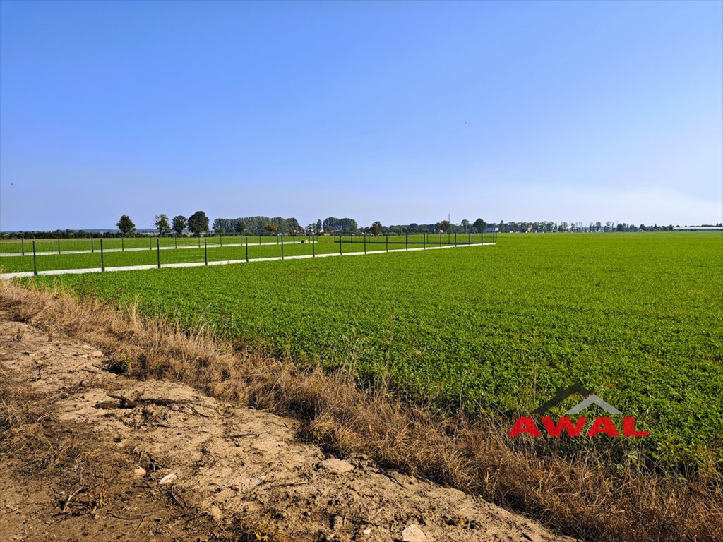 Działka budowlana na sprzedaż Połczyno, Polna  800m2 Foto 2