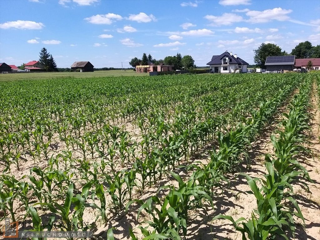 Działka budowlano-rolna w Celinach, 30,51 arów, spokojna okolica Celiny  3 051m2 Foto 1