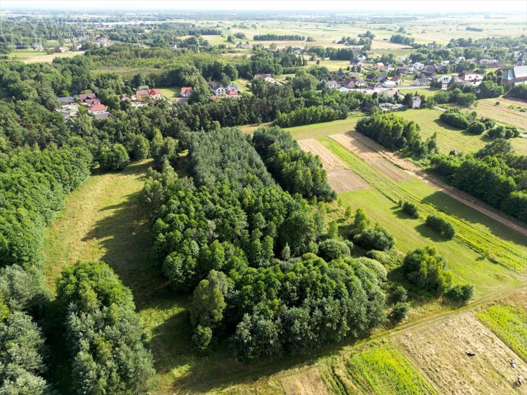 Działka rolna na sprzedaż Zaborów  5 300m2 Foto 13